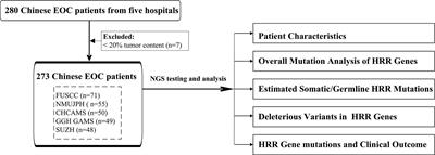 Mutation Landscape of Homologous Recombination Repair Genes in Epithelial Ovarian Cancer in China and Its Relationship With Clinicopathlological Characteristics